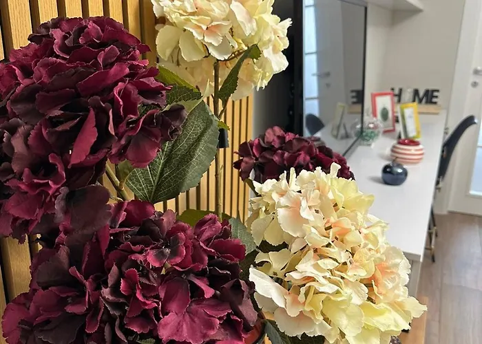 Bed & Breakfast Horta's 4*