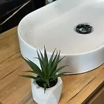 Horta's B&B 티라나